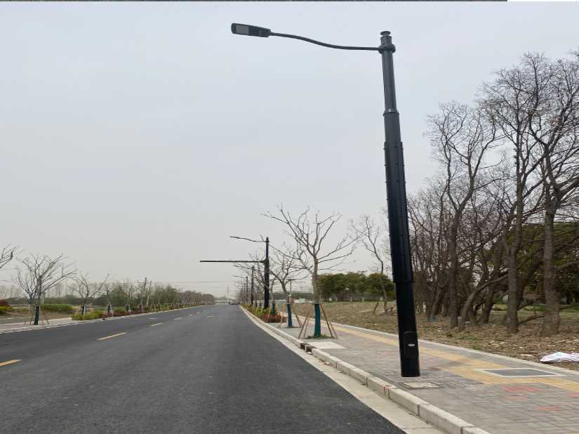 瑞昌市上海综合杆 太阳能路灯工程